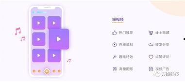 电商新爆料玩法大全视频,揭秘热门视频营销策略  第2张