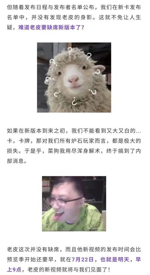 最新老皮爆料视频大全集,揭秘娱乐圈幕后真相