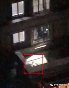 南宁爆料女孩坠楼视频 第3张 南宁爆料女孩坠楼视频 第3张