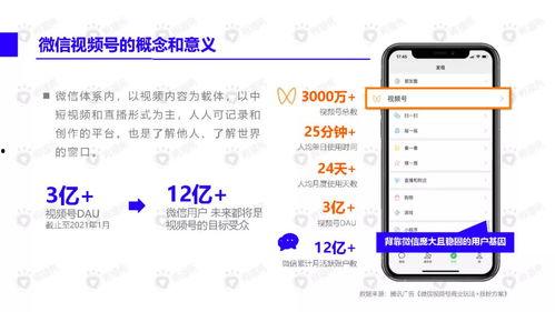 圈内人口罩爆料视频下载  第2张