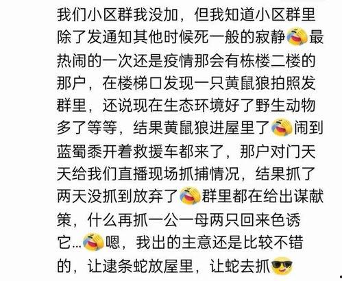 娱乐吃瓜酱名言大全集,笑料百出,智慧闪耀 第2张 娱乐吃瓜酱名言大全集,笑料百出,智慧闪耀 第2张