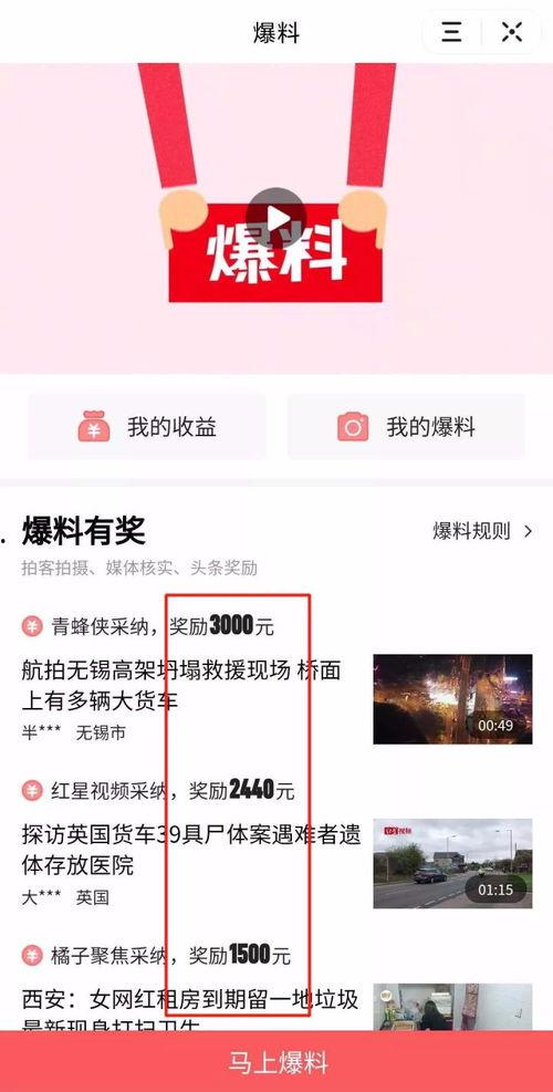爆料视频在线免费观看 第3张 爆料视频在线免费观看 第3张