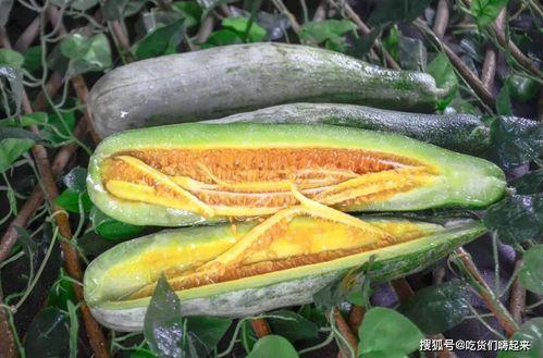 莱芜网红吃瓜,揭秘幕后故事与热门话题 第3张 莱芜网红吃瓜,揭秘幕后故事与热门话题 第3张