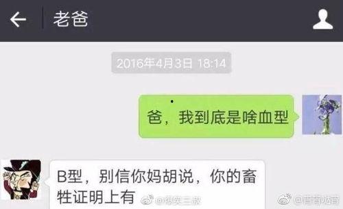 爆料有趣新闻视频,趣味新闻视频盘点 第2张 爆料有趣新闻视频,趣味新闻视频盘点 第2张