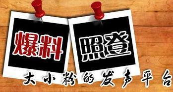 新闻爆料配图大全,捕捉时代瞬间，见证社会变迁