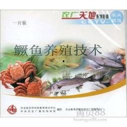 鳜鱼养殖爆料视频大全最新,最新爆料视频大全深度解析  第2张