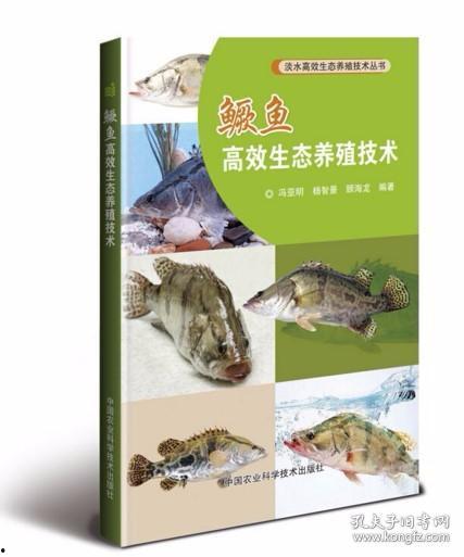 鳜鱼养殖爆料视频大全最新,最新爆料视频大全深度解析  第3张