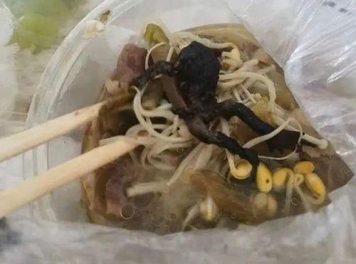 牛蛙后厨爆料视频,视频曝光惊人细节 第3张 牛蛙后厨爆料视频,视频曝光惊人细节 第3张