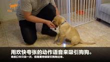 狗崽爆料视频大全最新,揭秘娱乐圈幕后真相 第2张 狗崽爆料视频大全最新,揭秘娱乐圈幕后真相 第2张