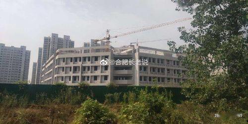 南川中学爆料新闻最新情况,校园事件真相揭晓,惊心动魄一幕引关注 第3张 南川中学爆料新闻最新情况,校园事件真相揭晓,惊心动魄一幕引关注 第3张