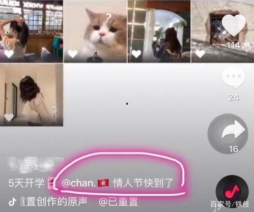 嘿嘿嘿视频在线观看,在线观看的激情瞬间