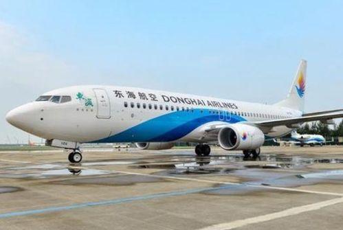 东海航空最新爆料,揭秘神秘航线背后的故事 第3张 东海航空最新爆料,揭秘神秘航线背后的故事 第3张