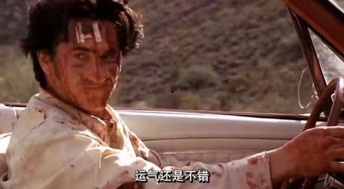 不准掉头 在线观看,揭秘交通规则背后的惊险故事