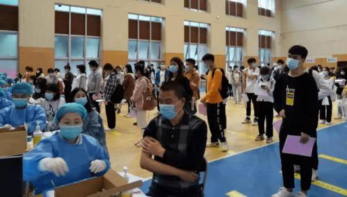 青枫骇客最新爆料消息,最新爆料事件深度解析 第2张 青枫骇客最新爆料消息,最新爆料事件深度解析 第2张