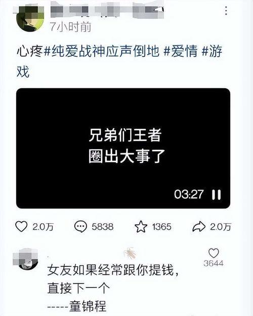 语音爆料胖猫视频,萌态可掬引网友热议