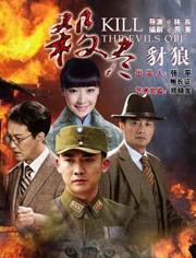 杀尽豺狼全集在线观看,揭秘抗战传奇，热血激战全纪录