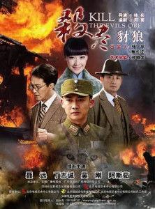 杀尽豺狼全集在线观看,揭秘抗战传奇，热血激战全纪录  第2张