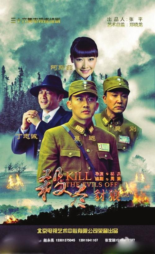 杀尽豺狼全集在线观看,揭秘抗战传奇，热血激战全纪录  第3张