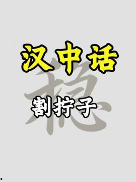 汉中今日头条最新的爆料,揭秘某神秘项目背后真相！  第3张