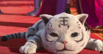 红魔最新款爆料视频下载,性能怪兽来袭，游戏体验再升级  第2张