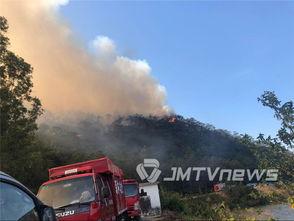 鹤山市爆料新闻最新情况,突发事件引发社会关注  第3张