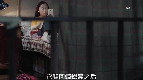 丁姐被人爆料视频,揭秘背后真相与争议  第2张