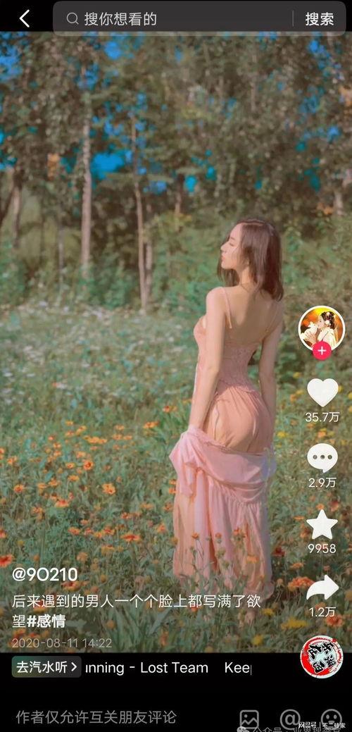 吃瓜女网红视频下载安装,揭秘网红吃瓜视频下载安装全攻略 第2张 吃瓜女网红视频下载安装,揭秘网红吃瓜视频下载安装全攻略 第2张