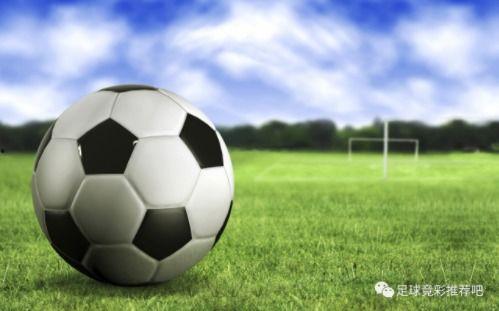 荷兰足球爆料视频播放大全  第2张