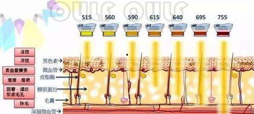 孟飞爆料剧组视频大全集,剧组幕后花絮视频大全集精彩瞬间 第3张 孟飞爆料剧组视频大全集,剧组幕后花絮视频大全集精彩瞬间 第3张
