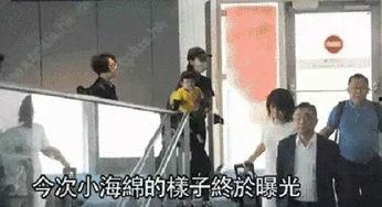 明星偷拍爆料图片视频,明星隐私泄露事件深度解析  第2张