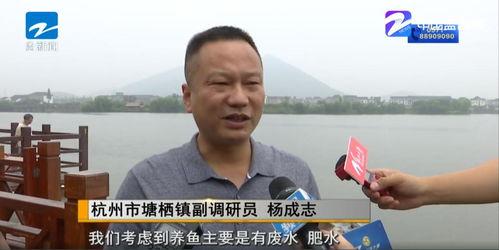 浙江省老百姓新闻爆料网,聚焦民生,传递民意 第2张 浙江省老百姓新闻爆料网,聚焦民生,传递民意 第2张