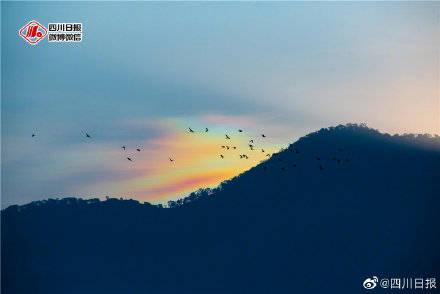 七彩祥云最新爆料消息,揭秘神秘事件背后的惊人真相  第3张