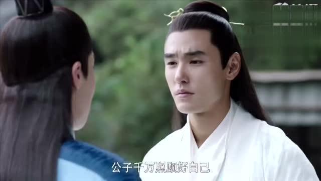 扶摇33在线观看,风云变幻，扶摇再起，揭秘神秘势力真相！