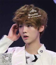 圈内爆料鹿晗yamy,揭秘娱乐圈背后的情感纠葛