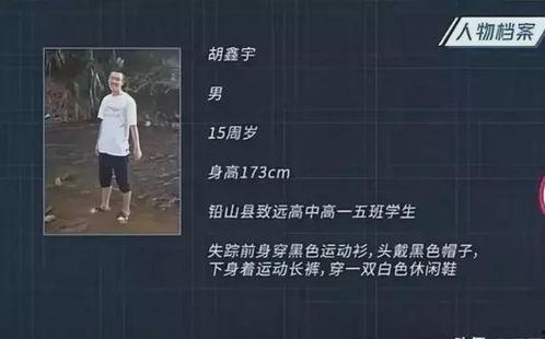 新闻爆料失踪案件最新,警方全力追查,真相即将揭晓 第3张 新闻爆料失踪案件最新,警方全力追查,真相即将揭晓 第3张