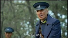 决战江桥全集在线观看暴风,暴风席卷下的英雄传奇  第3张