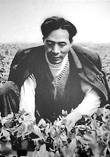 永远的焦裕禄 在线观看,传承红色基因，致敬时代楷模  第2张