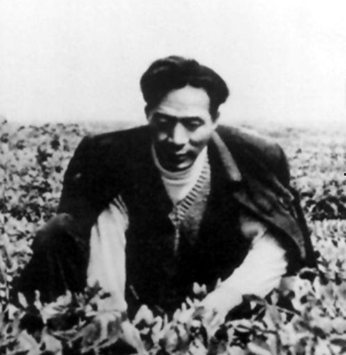 永远的焦裕禄 在线观看,传承红色基因，致敬时代楷模  第3张