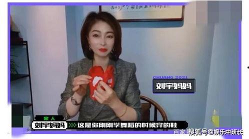 娟宝爆料视频大全集最新,揭秘娱乐圈幕后真相  第3张