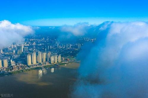 襄阳头条最新爆料  第2张