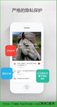 神秘最新爆料网站下载,最新劲爆资讯大盘点