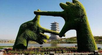 西安世博园爆料事件视频,揭秘背后真相  第3张