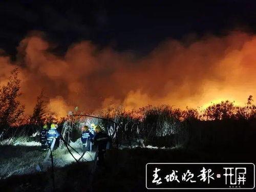 云南昆明爆料视频,街头奇闻异事引发热议