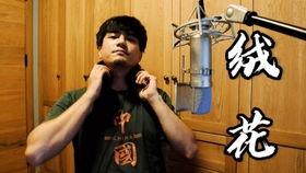 硬核吃瓜小说免费完整版,揭秘娱乐圈背后的秘密与真相  第2张