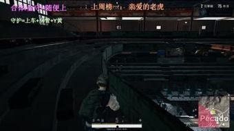 小智爆料全民直播视频 第3张 小智爆料全民直播视频 第3张