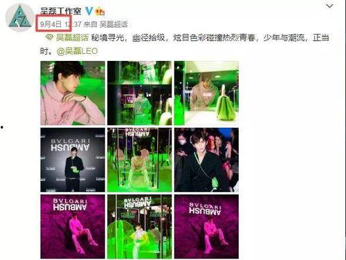 韩涵粉丝爆料语音视频,语音视频揭露惊人内幕! 第2张 韩涵粉丝爆料语音视频,语音视频揭露惊人内幕! 第2张