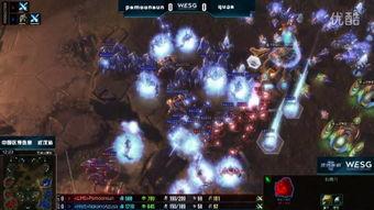 中国星际争霸爆料视频播放,揭秘游戏新内容与未来走向