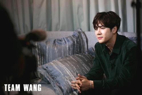 王嘉尔最新爆料视频播放,娱乐圈幕后真相大曝光! 第2张 王嘉尔最新爆料视频播放,娱乐圈幕后真相大曝光! 第2张