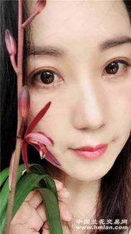 免费吃瓜qun,揭秘网络社交新潮流  第3张