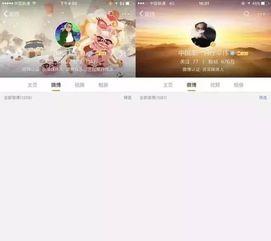 娱乐圈八卦爆料账号有哪些,揭秘幕后真相与明星隐私